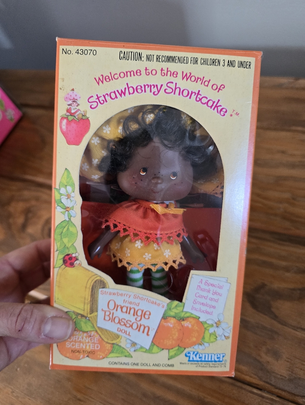 Vintage Strawberry Shortcake Collection    circa 1980-1982 - Picture 7 of 13